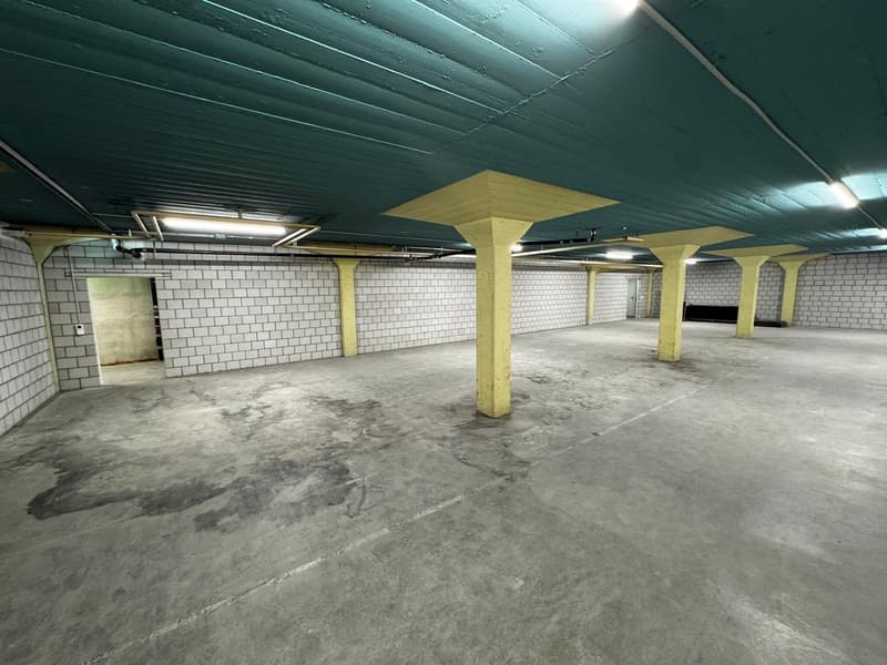 Gewerbe- und Lagerfläche an der Industriestrasse in Lenzburg (12)