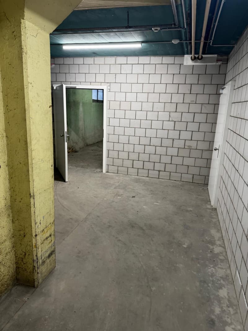 Gewerbe- und Lagerfläche an der Industriestrasse in Lenzburg (9)