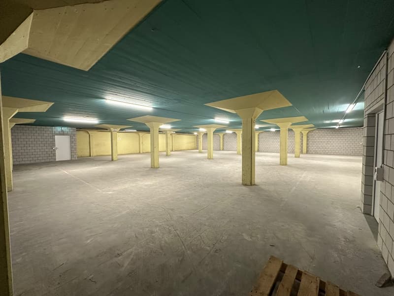 Gewerbe- und Lagerfläche an der Industriestrasse in Lenzburg (1)