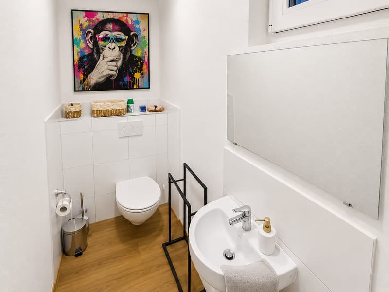 2 Häuser mit 8-Zimmer und grosser Terrasse in Kollbrunn zu verkaufen (7)
