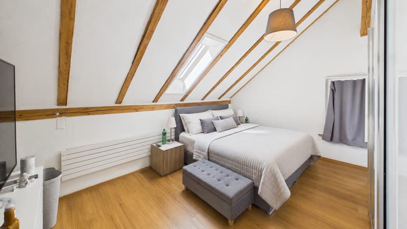 2 Häuser mit 8-Zimmer und grosser Terrasse in Kollbrunn zu verkaufen (10)