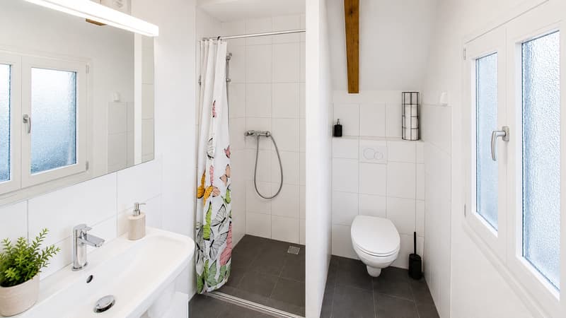 2 Häuser mit 8-Zimmer und grosser Terrasse in Kollbrunn zu verkaufen (12)