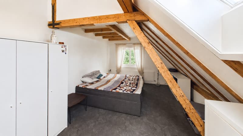 2 Häuser mit 8-Zimmer und grosser Terrasse in Kollbrunn zu verkaufen (13)