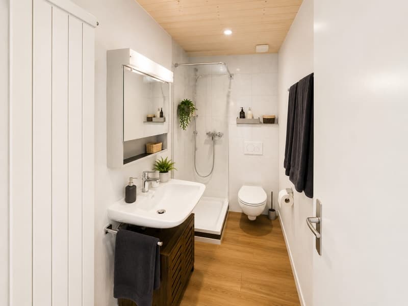 2 Häuser mit 8-Zimmer und grosser Terrasse in Kollbrunn zu verkaufen (6)