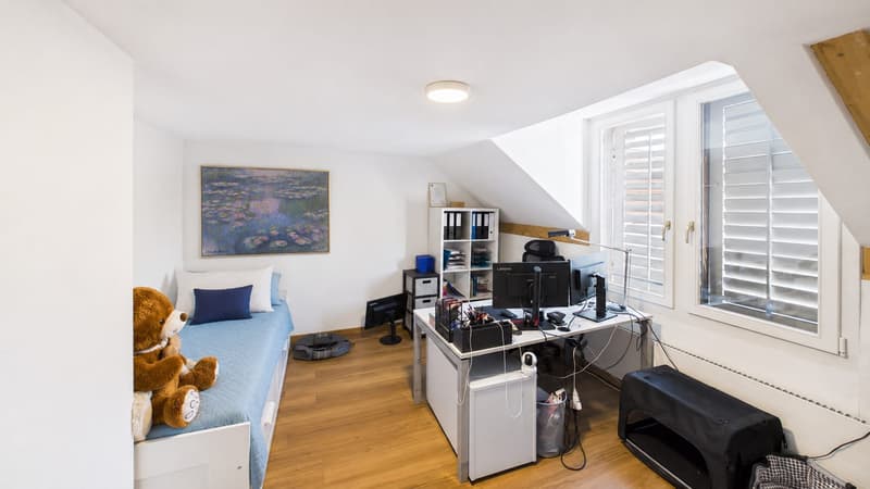 2 Häuser mit 8-Zimmer und grosser Terrasse in Kollbrunn zu verkaufen (8)