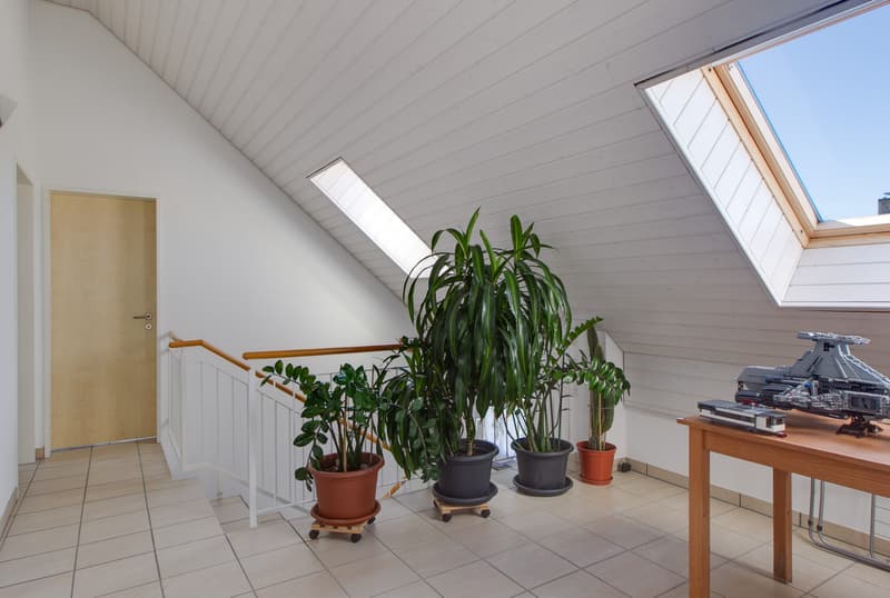 6.5 Zimmer Doppelhaushälfte mit Garten in Winterthur mieten (6)