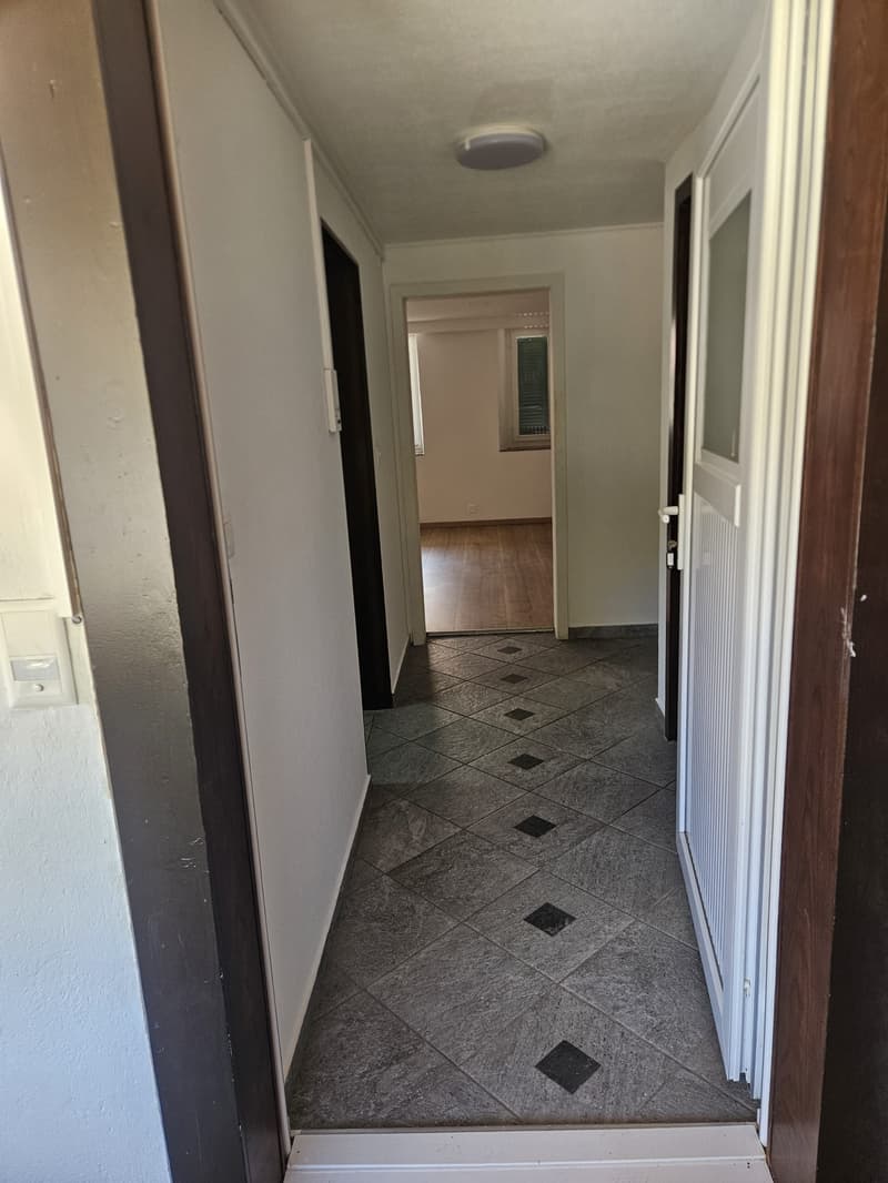 Charmante 3-Zimmer-Wohnung in Herbetswil – sofort verfügbar (3)