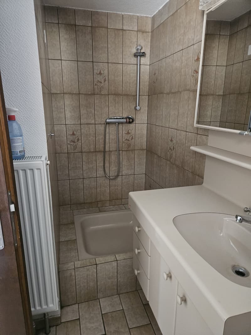 Charmante 3-Zimmer-Wohnung in Herbetswil – sofort verfügbar (4)
