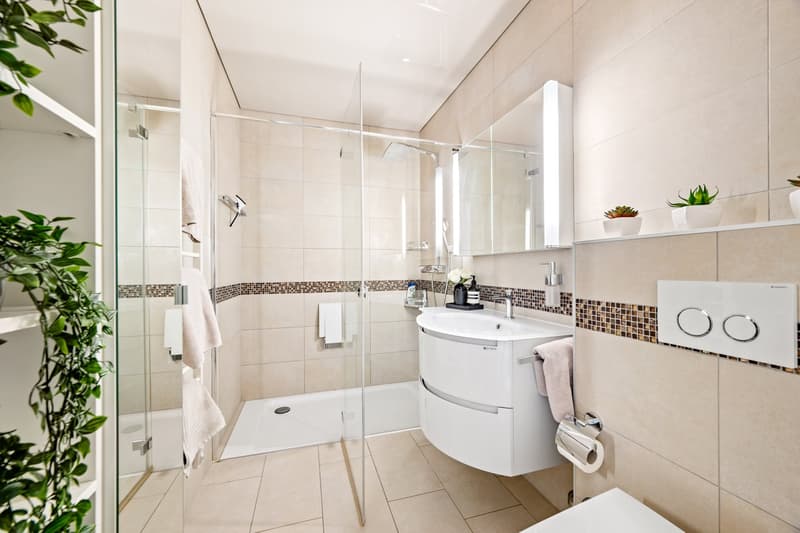 Duplex-attique d'exception avec vue panoramique sur le Léman (9)