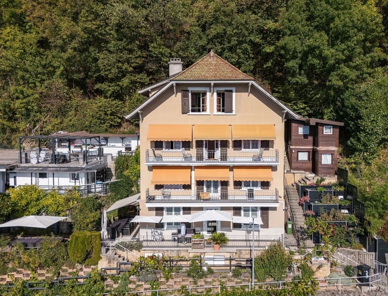 Maison de caractère avec 3 logements et vue panoramique sur le Léman (2)