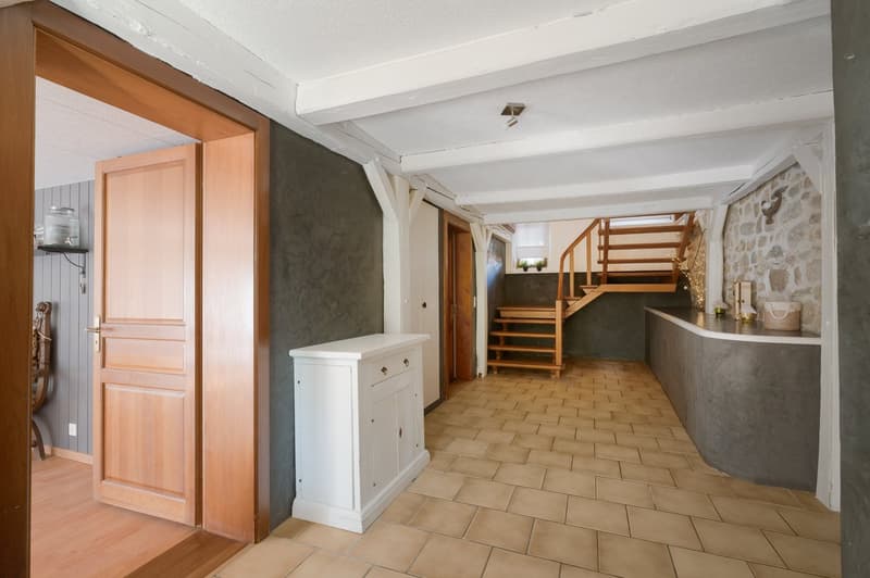 Duplex de caractère dans une ferme du XIXe siècle, face au Léman et aux Alpes (12)