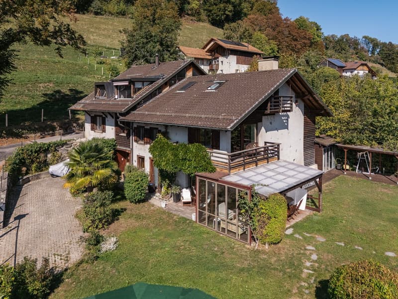 Duplex de caractère dans une ferme du XIXe siècle, face au Léman et aux Alpes (5)