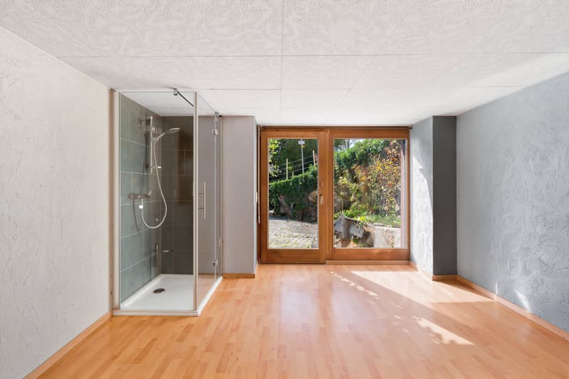 Duplex de caractère dans une ferme du XIXe siècle, face au Léman et aux Alpes (11)