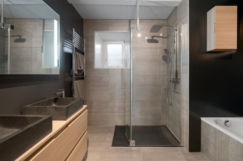 Duplex de caractère dans une ferme du XIXe siècle, face au Léman et aux Alpes (9)