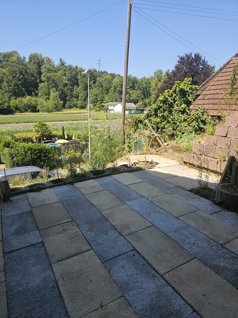 Charmantes 6.5-Zimmer-Doppelhaus in Othmarsingen – Modern, Familienfreundlich und Ruhig (4)
