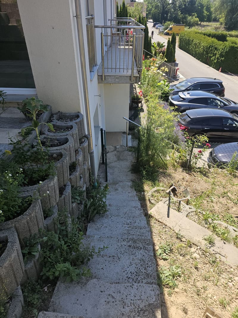 Charmantes 6.5-Zimmer-Doppelhaus in Othmarsingen – Modern, Familienfreundlich und Ruhig (5)