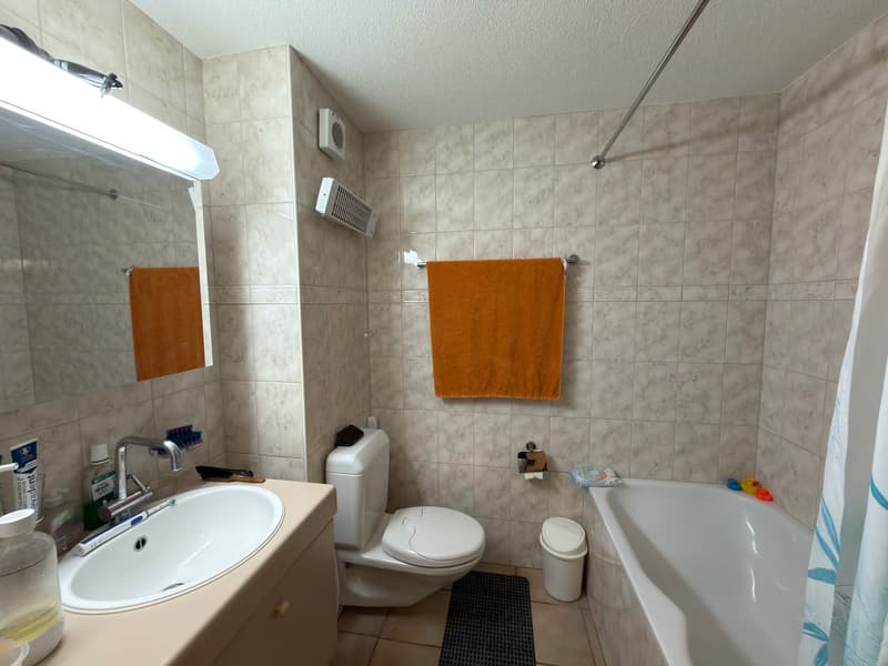 2.5-Zimmer-Wohnung mit Balkon – Eigenheim oder Kapitalanlage (9)