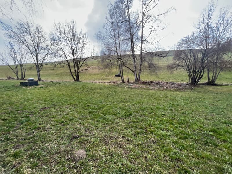 Bauland in Niedermuhlern – Grundstück 1'300 m² für 4 x EFH (2)