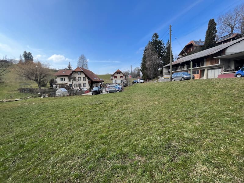 Bauland in Niedermuhlern – Grundstück 1'300 m² für 4 x EFH (1)