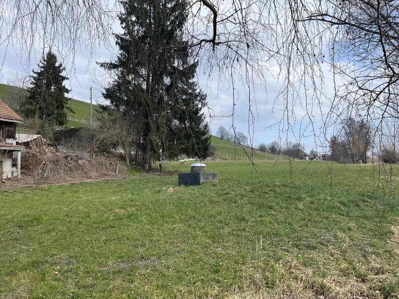 Bauland in Niedermuhlern – Grundstück 1'300 m² für 4 x EFH (3)