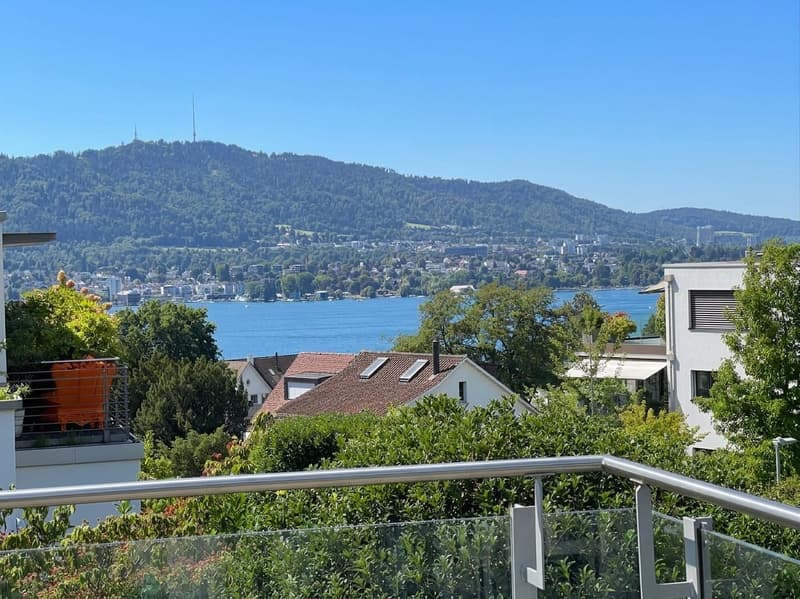 Residenz in Zollikon mit Seesicht (1)