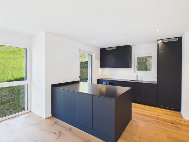 Neubau 6-Zimmer-Einfamilienhaus mit Fernsicht in Cumbel kaufen (2)