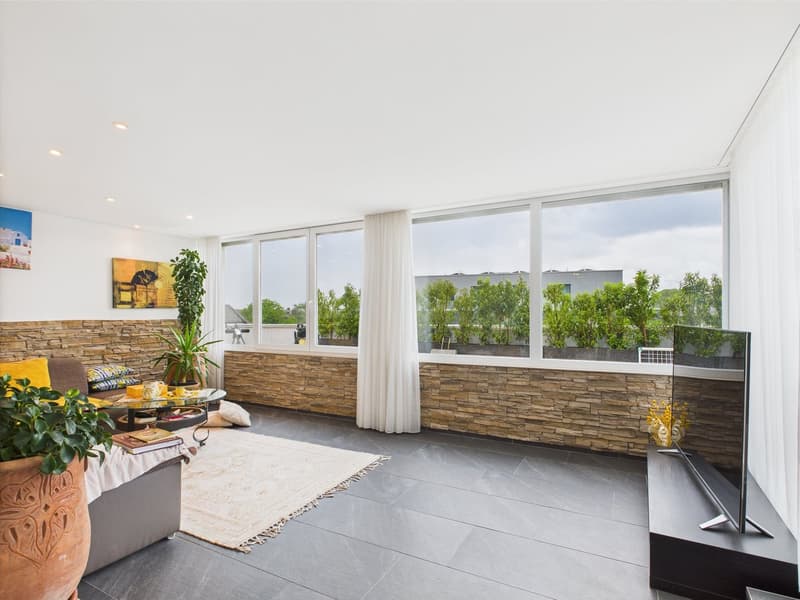 4.5-Zimmer-Penthouse mit Terrasse in Au SG kaufen (3)