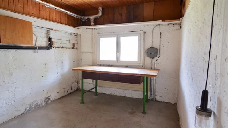 8-Zimmer-Einfamilienhaus mit Garten in Buchs SG kaufen (12)