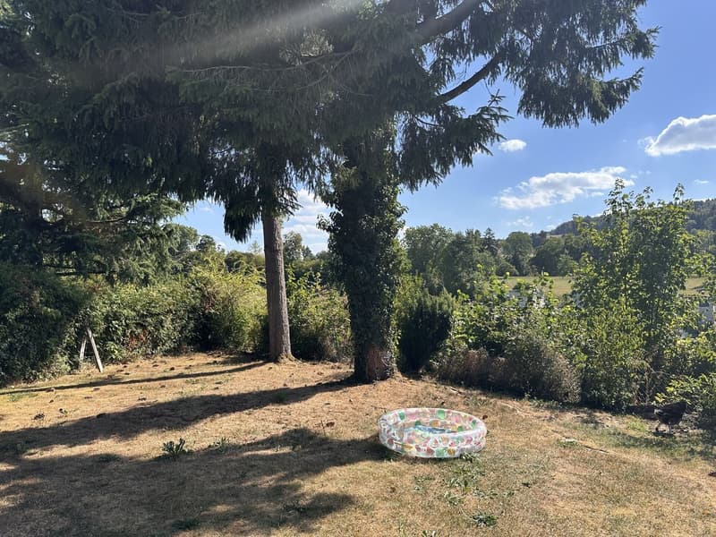sonniger Garten