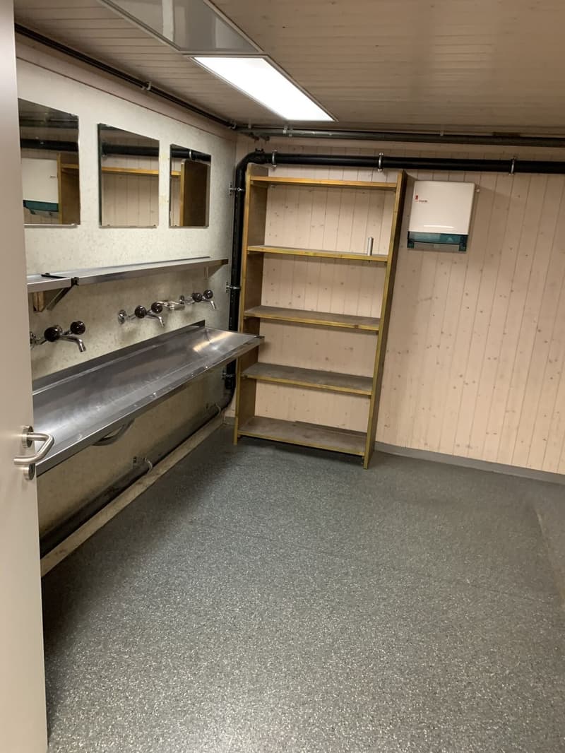 Lager- und Logistikfläche mit Hallenkran und Warenannahme in Villmergen (9)
