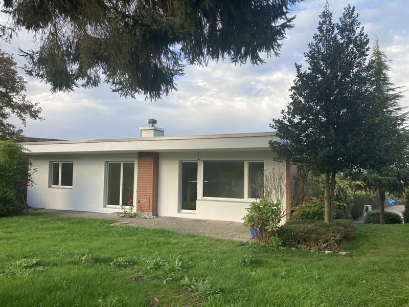 Neuwertiges Zuhause im neuen Glanz (1)