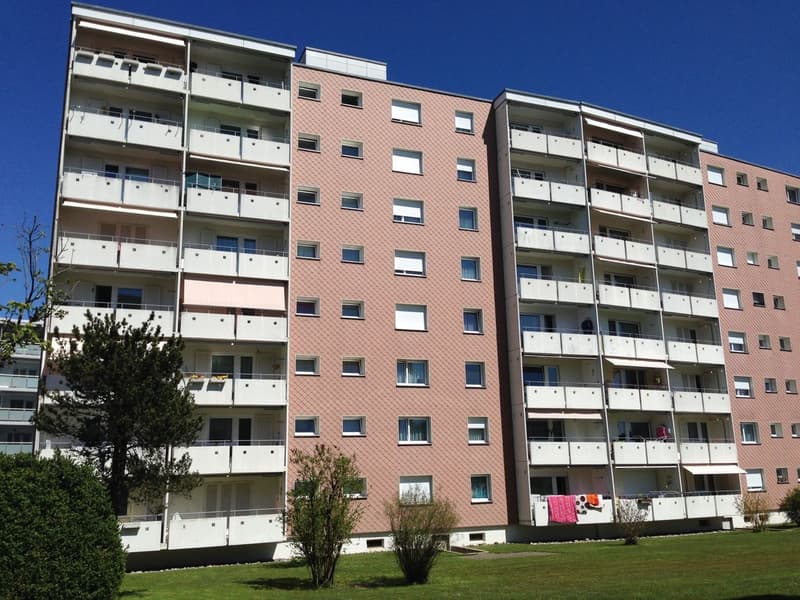 Gemütliche 2-Zimmerwohnung zentral gelegen (1)