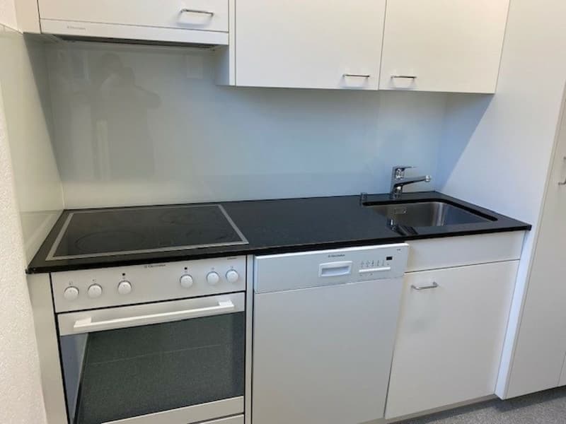 Gemütliche 2-Zimmerwohnung zentral gelegen (2)