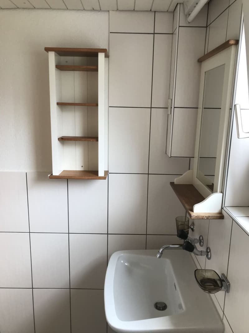 IDEAL FÜR WOCHENAUFENTHALTER - 1-ZIMMERWOHNUNG MIT SEPARATEM BAD IN VILLMERGEN (7)