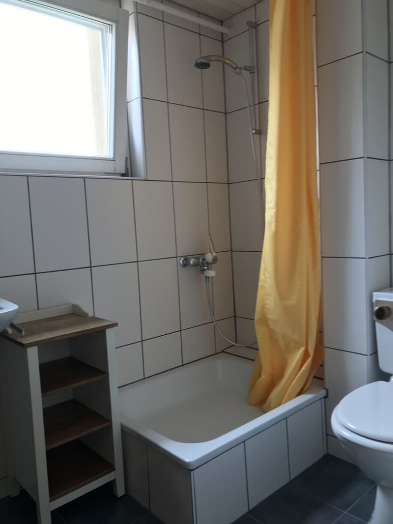 IDEAL FÜR WOCHENAUFENTHALTER - 1-ZIMMERWOHNUNG MIT SEPARATEM BAD IN VILLMERGEN (8)