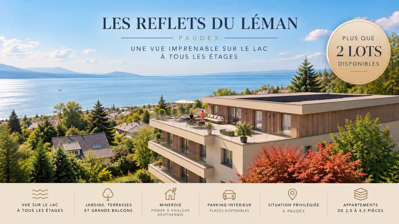 Nouvelle promotion à Paudex avec vue imprenable sur le lac (1)