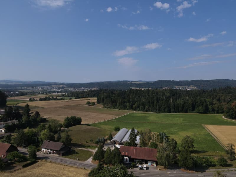Buacher West Haus 9 Wohnung 9.1 (5)