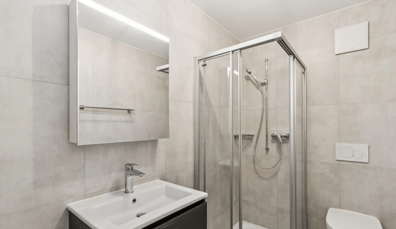 Magnifique appartement neuf de 5.5 pièces avec terrasse à St-Aubin FR (14)