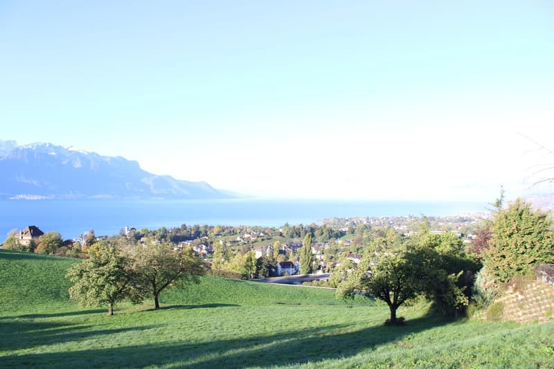 Villa moderne de 6.5 pièces à Montreux avec vue panoramique (5)
