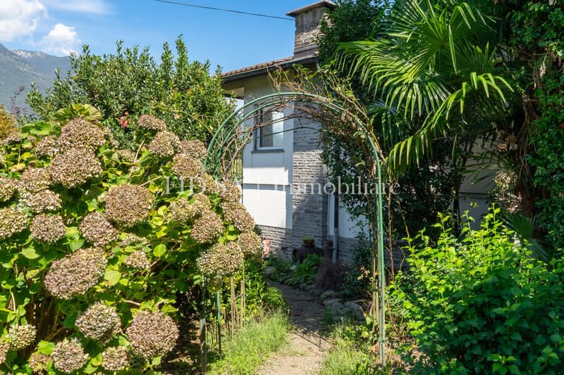 CONTONE - Einfamilienhaus inmitten von viel Grün mit grossem Grundstück (11)