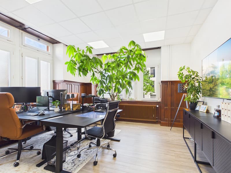 Repräsentative Bürofläche in Rheinfelden (8)