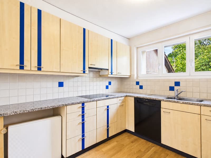 6-Zimmer-Einfamilienhaus mit 1712m² Grundstück und grossem Entwicklungspotential (11)