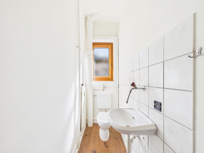 Mehrfamilienhaus mit 9 Wohnungen und 2 Gastrobetrieben in Basel kaufen - zentrale Lage (10)