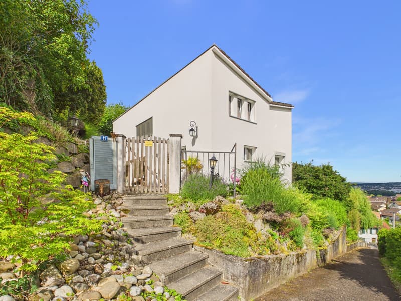 5.5-Zi.-Einfamilienhaus mit Pool in Dornach kaufen (12)