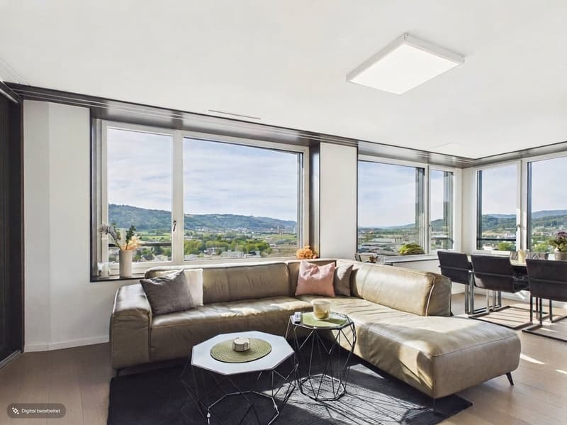 Wohnung im Limmat Tower mit Panoramablick (2)