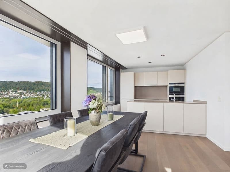 Wohnung im Limmat Tower mit Panoramablick (3)