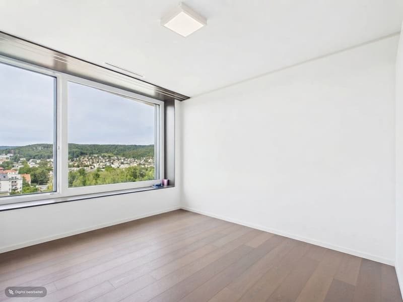 Wohnung im Limmat Tower mit Panoramablick (7)