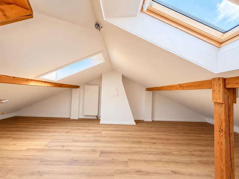 Frisch renoviertes 5.5-Zimmer-Reihenhaus mit Garten in Zürich (11)