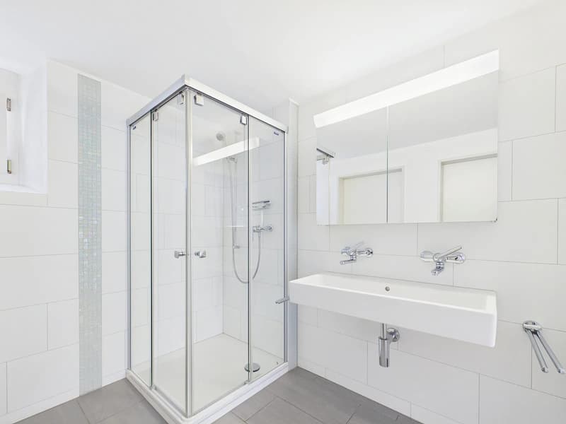 Stilvolle 2-Zimmer-Wohnung mit Terrasse in Thalwil mieten (9)
