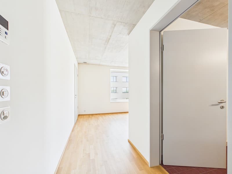 Erstbezug im modernen Neubau - hochwertiges Wohnen mitten in Basel (4)